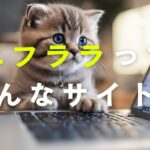 エフララサイト概要説明