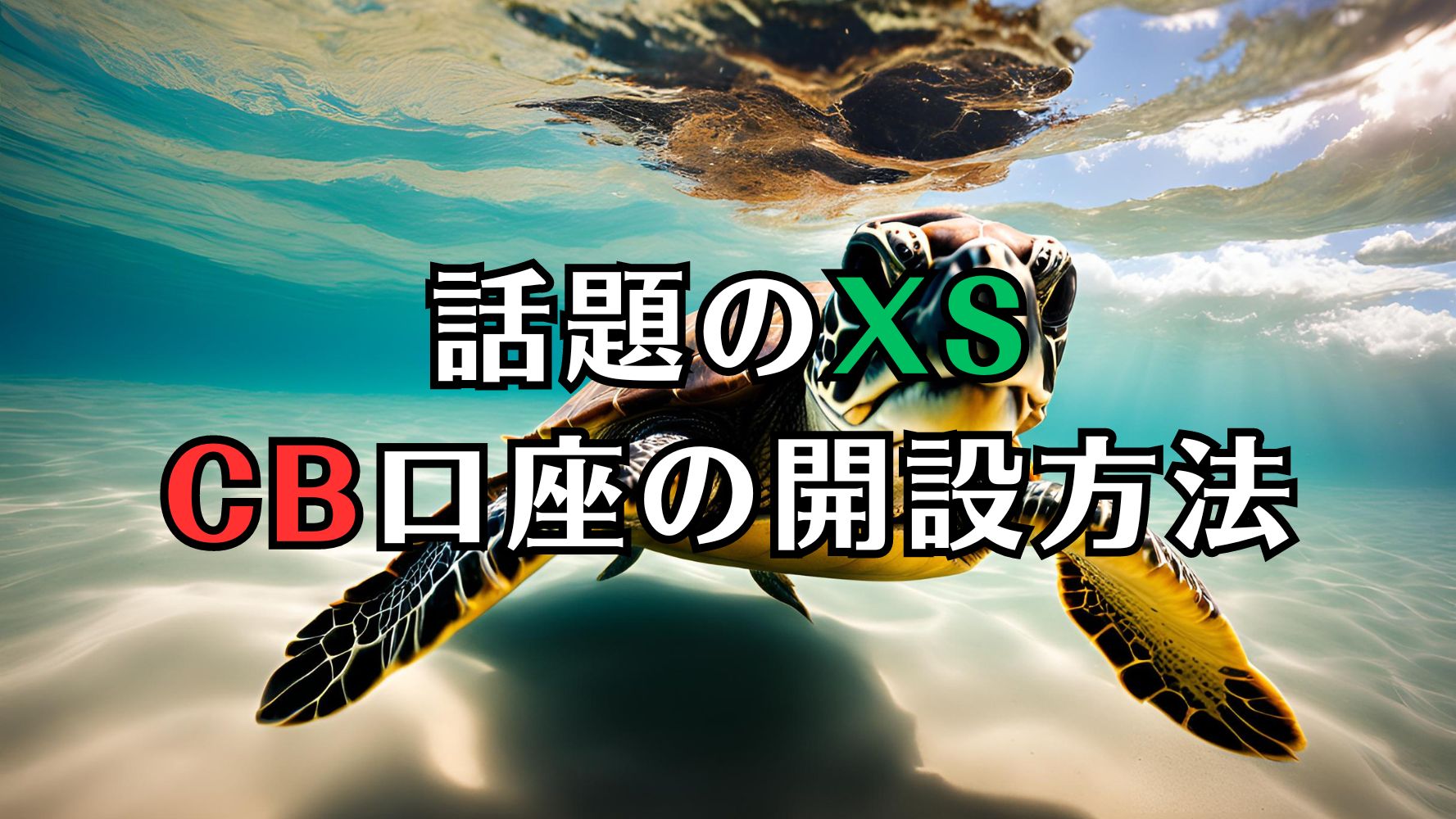 #XS （#エックスエス）って知ってる？口座開設方法をご紹介！