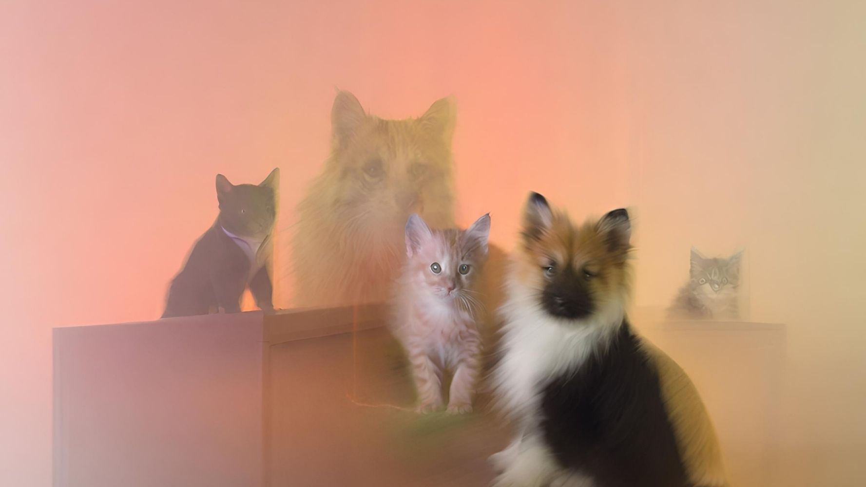 チャートパターン