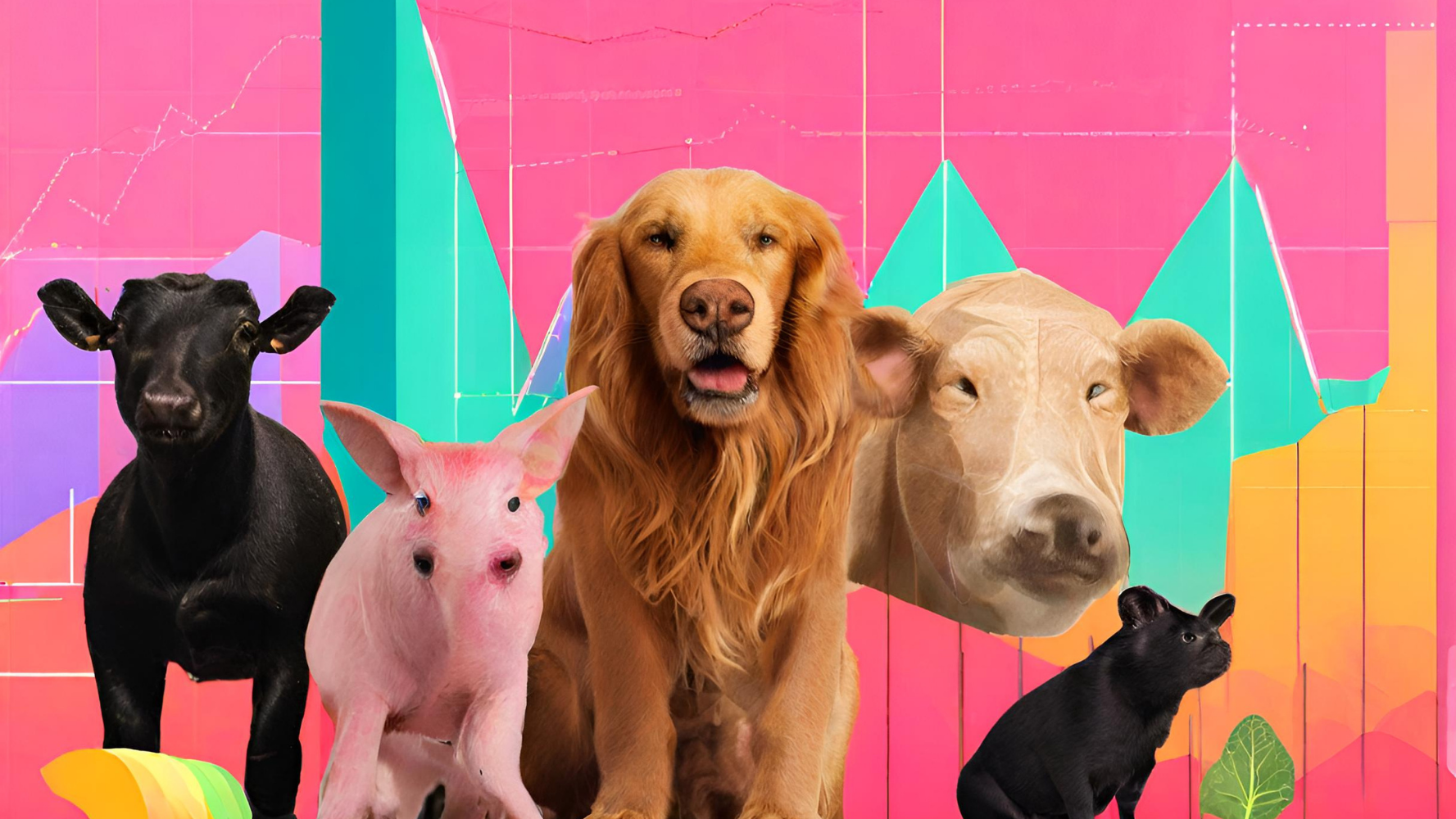 エクスネスでチャートが固まって動かない時がMT4もMT5もありますが、MT4だけ