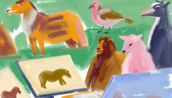 フィントケイ（Fin