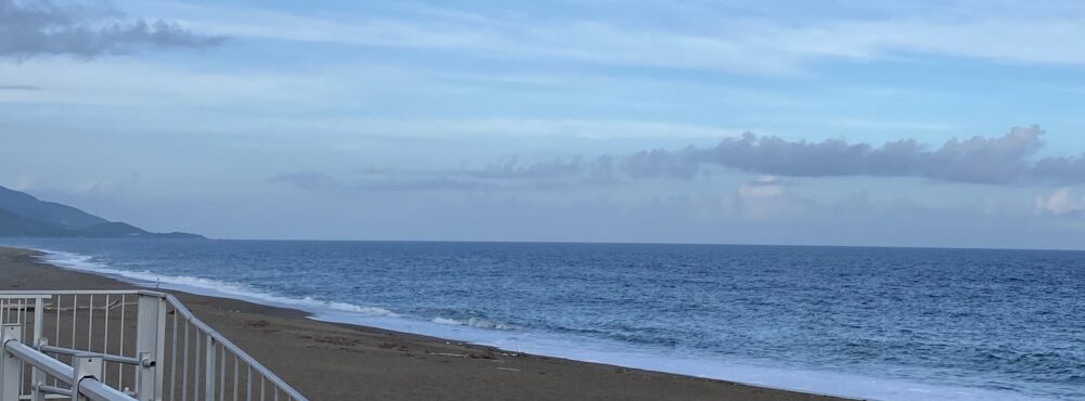 cami：イラスト画像